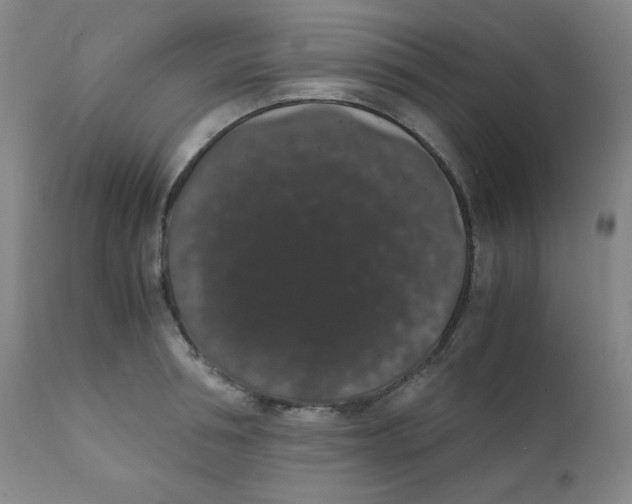 X0000111880994200908201253