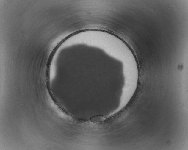 X0000111880995200908201253