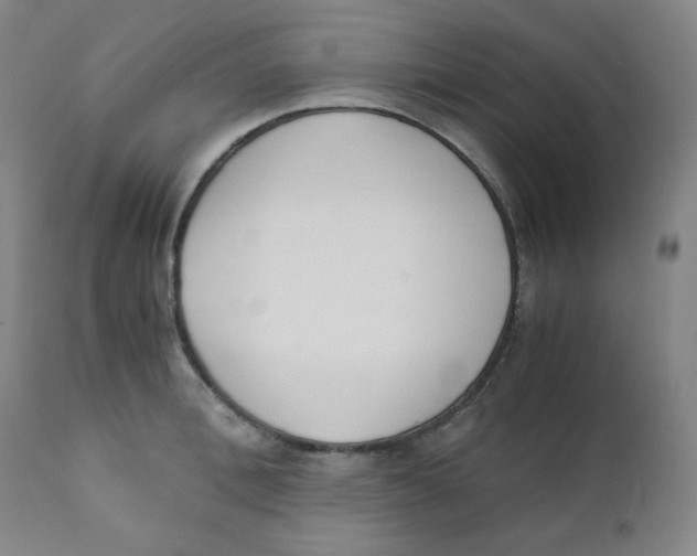 X0000111880996200908201253