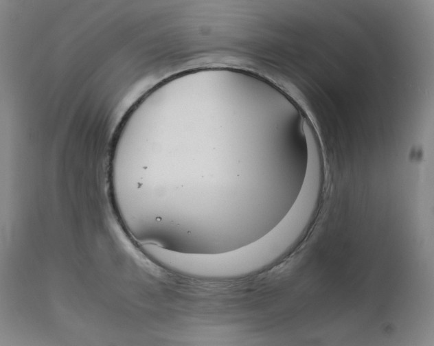 X0000111880997200908201253