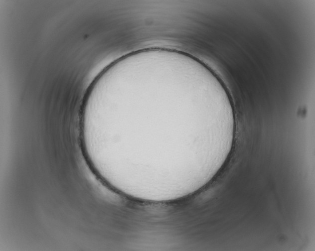 X0000111880999200908201253
