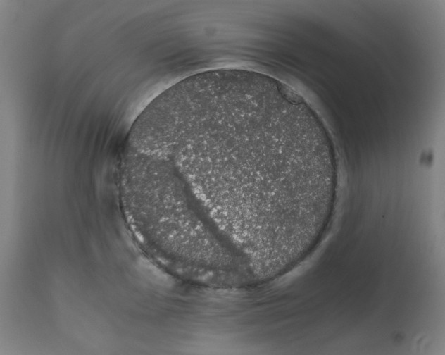 X0000111881001200908201253