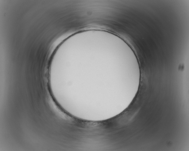 X0000111881003200908201253