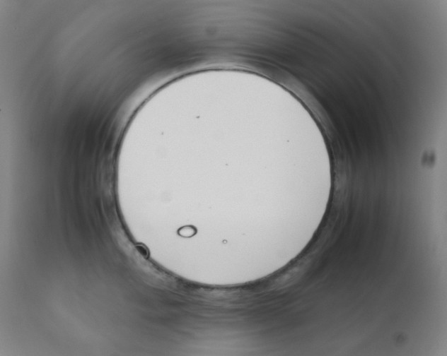X0000111881004200908201253