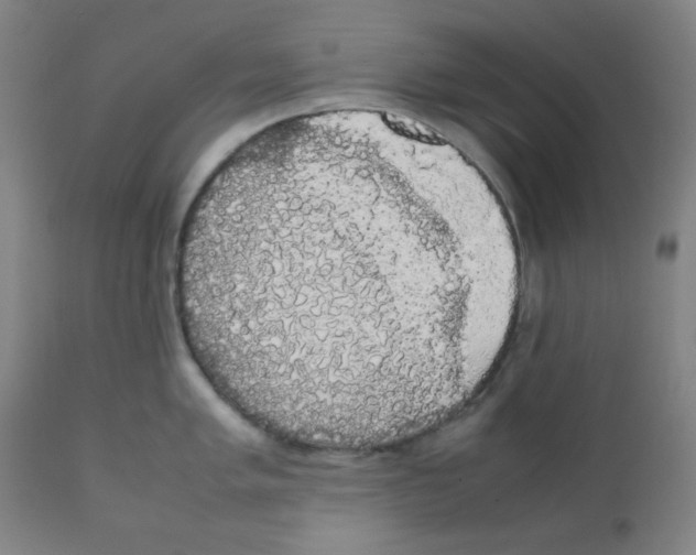 X0000111881005200908201253
