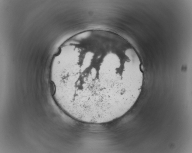 X0000111881007200908201253