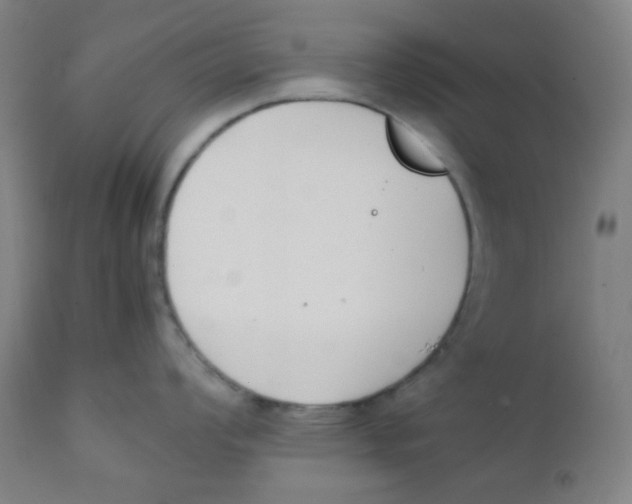 X0000111881008200908201253