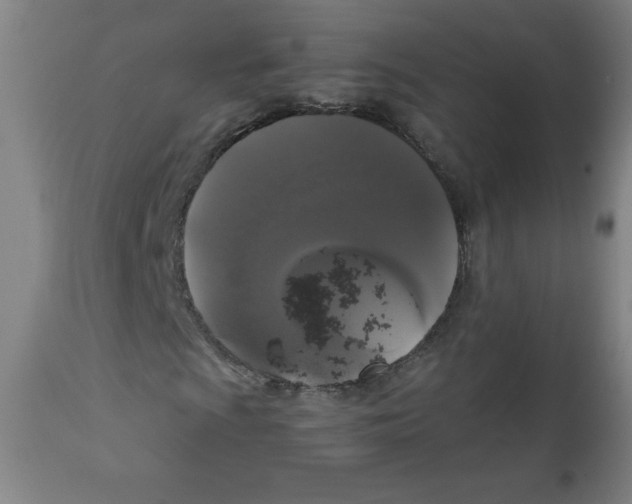 X0000111881009200908201252