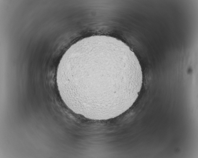 X0000111881010200908201252