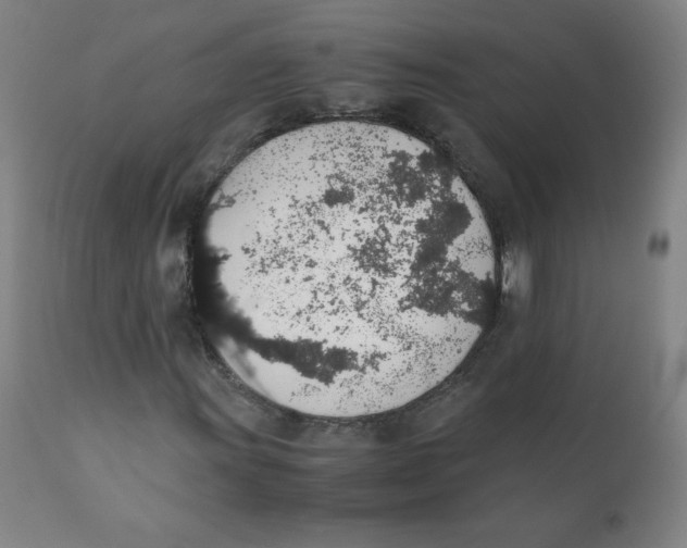 X0000111881011200908201252