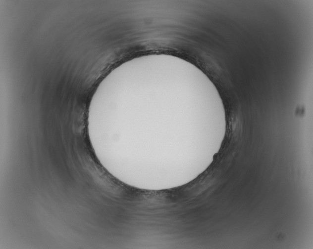 X0000111881012200908201252