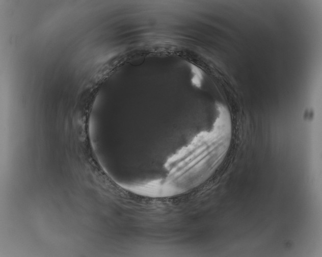 X0000111881013200908201252