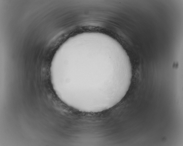 X0000111881014200908201252