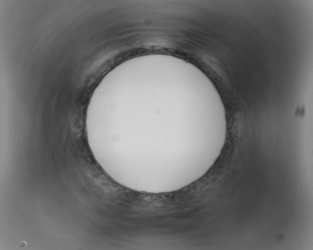 X0000111881015200908201252