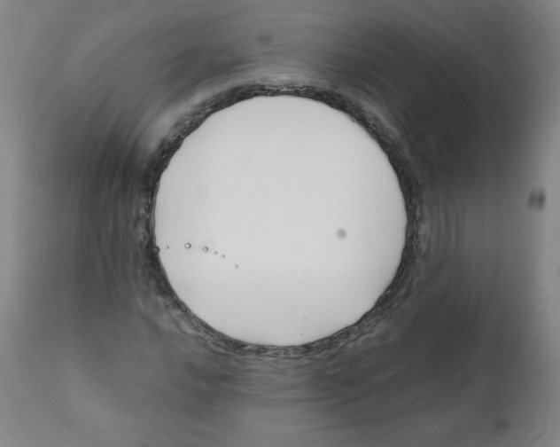 X0000111881016200908201252