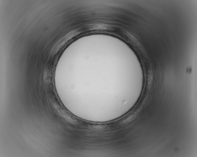 X0000111881017200908201252