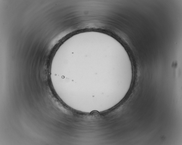 X0000111881018200908201252