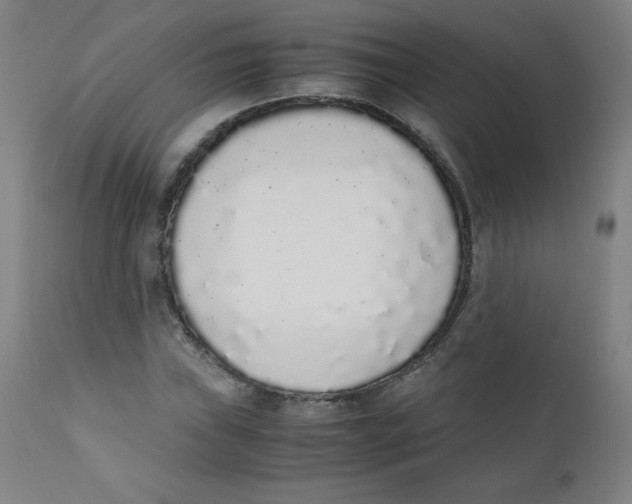 X0000111881019200908201252