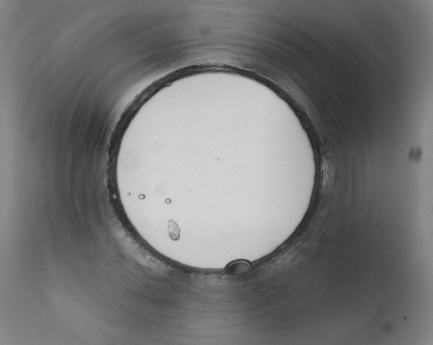 X0000111881020200908201252