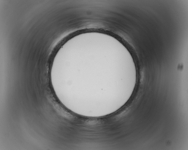 X0000111881021200908201252