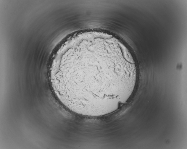 X0000111881023200908201252