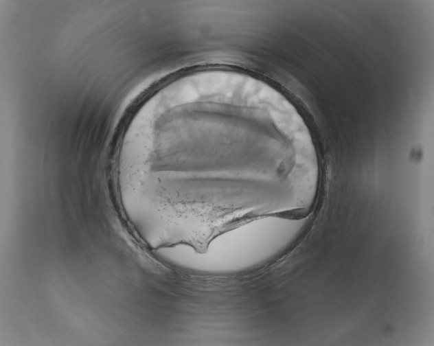 X0000111881024200908201252