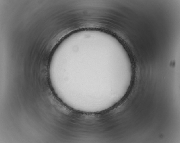 X0000111881025200908201252
