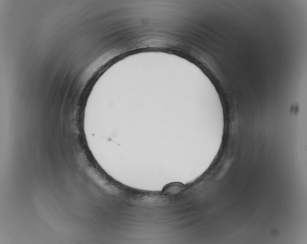 X0000111881026200908201252