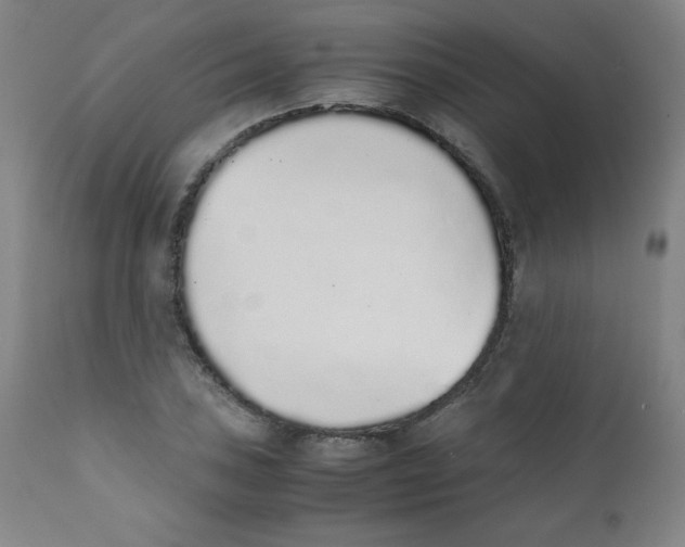 X0000111881027200908201252