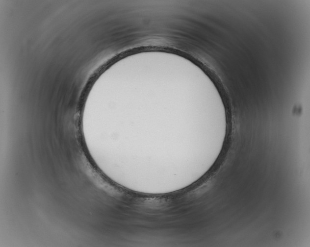 X0000111881029200908201252