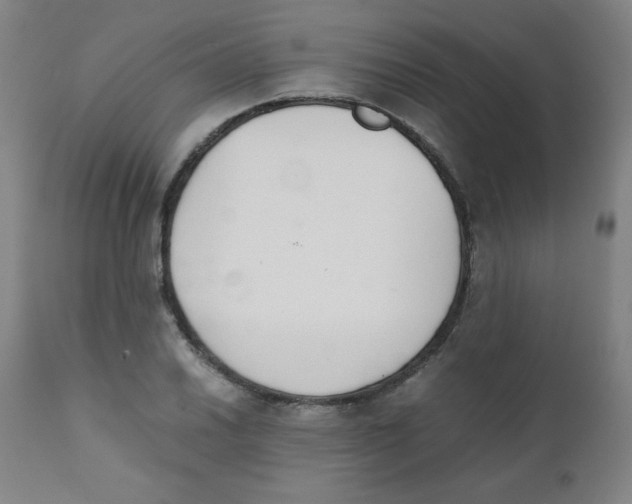 X0000111881030200908201252