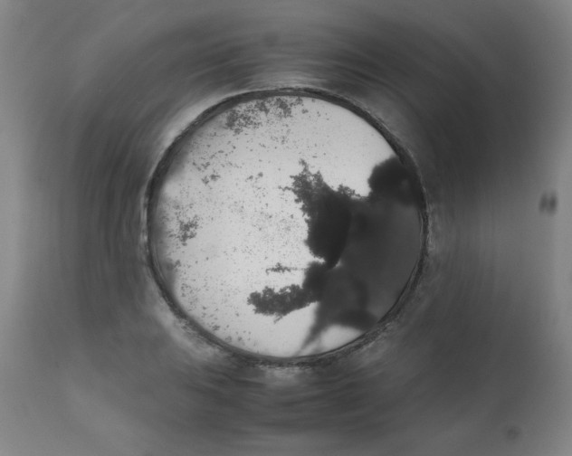 X0000111881031200908201252