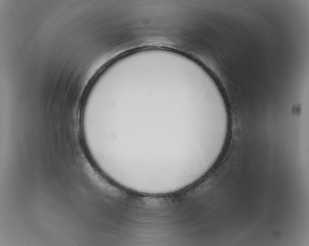 X0000111881032200908201252