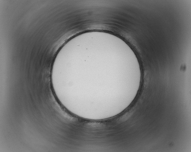 X0000111881033200908201252