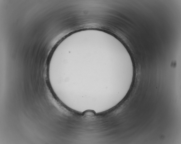 X0000111881034200908201252