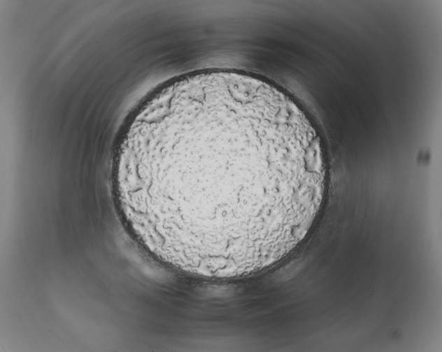 X0000111881035200908201253