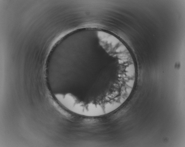X0000111881037200908201253
