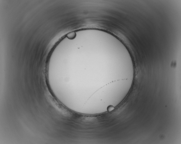 X0000111881043200908201253