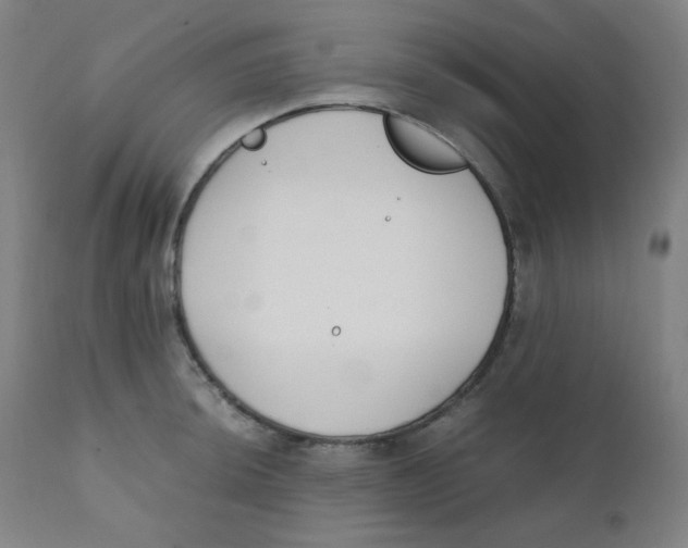 X0000111881044200908201253