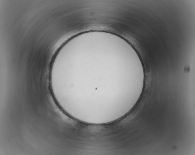 X0000111881046200908201253