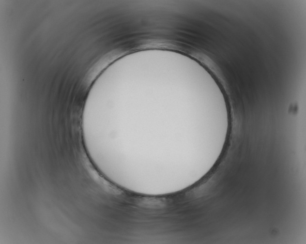 X0000111881049200908201253