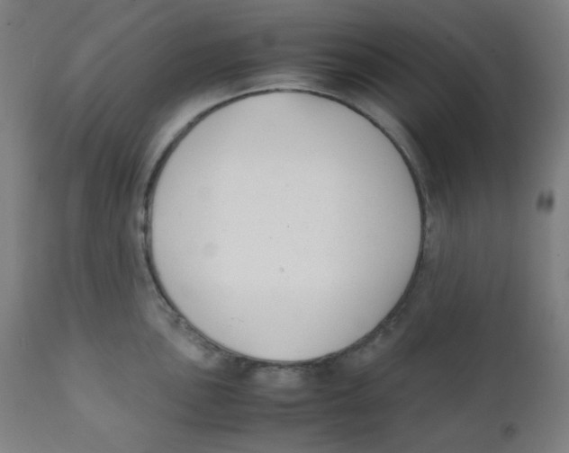 X0000111881051200908201253