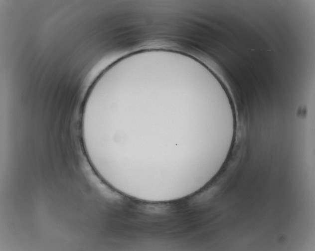 X0000111881053200908201253