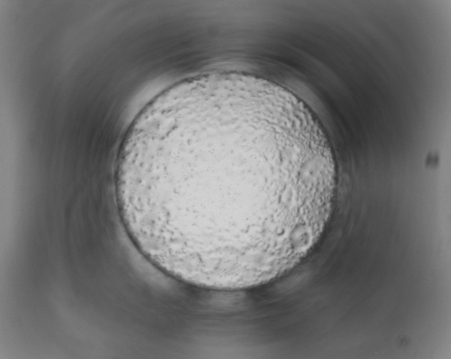 X0000111881055200908201253