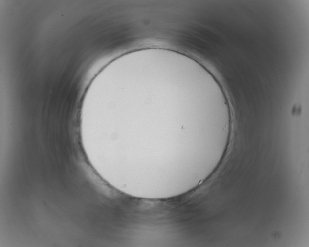 X0000111881056200908201253