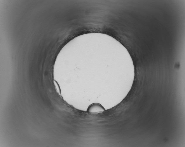 X0000111881057200908201252