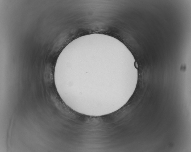 X0000111881058200908201252
