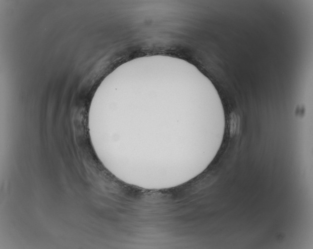 X0000111881059200908201252