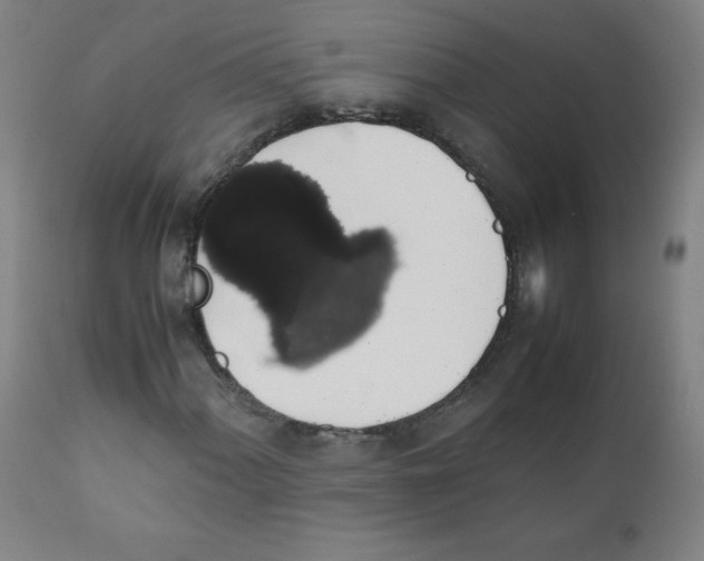 X0000111881060200908201252