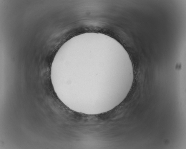 X0000111881061200908201252